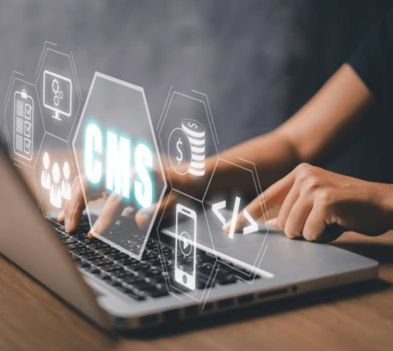 Content Management Systems (CMS)